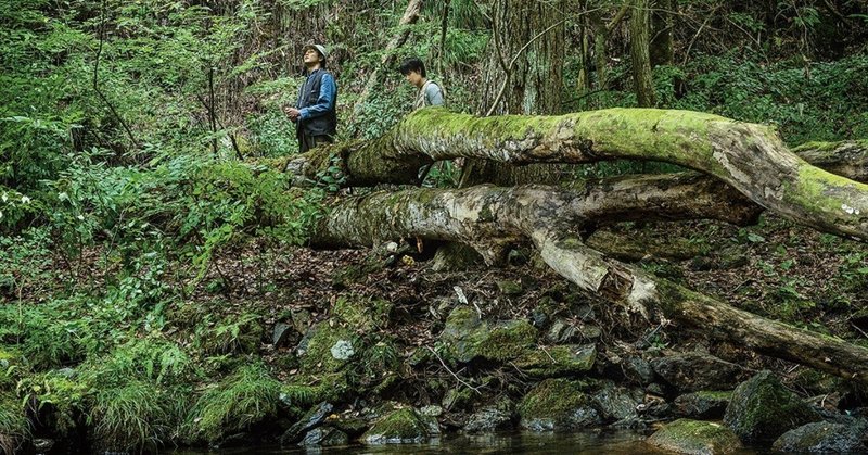 映画 影裏 感想 暗喩に満ちた映像美 kuwayama daisuke note