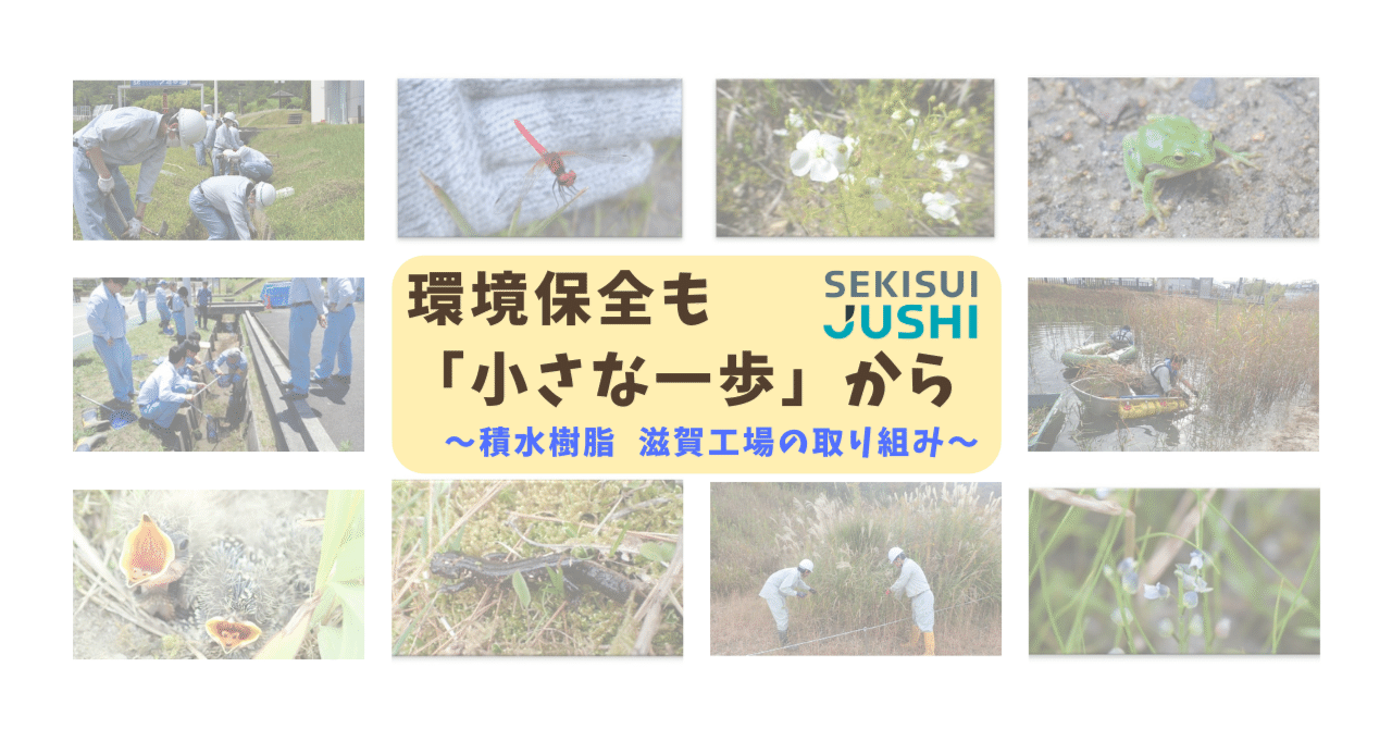 積水樹脂の生物多様性の取り組み】環境保全も「小さな一歩」から