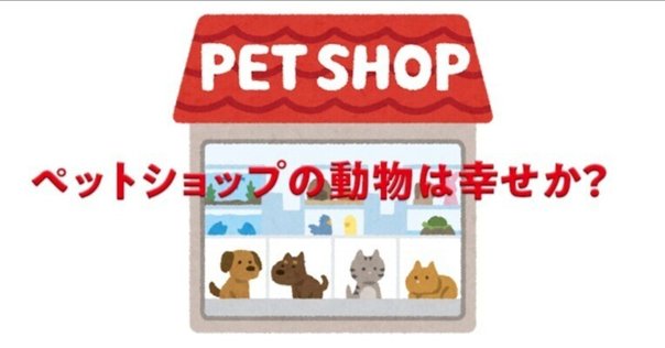 ビッグクエスチョンズ 倫理】動物にはどのような権利があるか