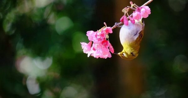 ご縁に感謝するってどういうこと？人生を幸せにする習慣【法話