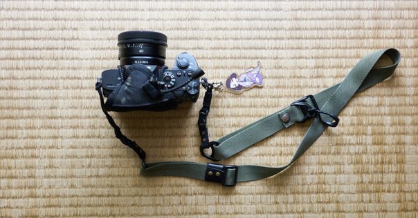 Zeiss Batis 40mm F2 CF 購入レビュー｜sunbrias_photo