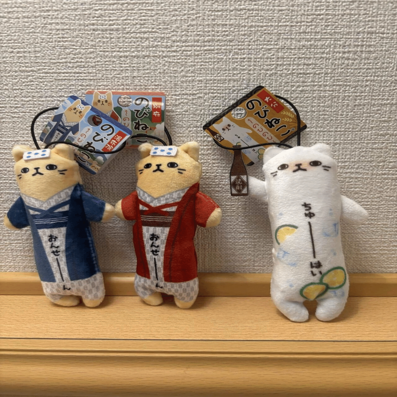 のびねこ捕獲・大分空港｜Debris@雑記