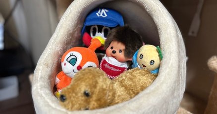 美品 モンチッチ OTONALAB 大人ラボ コラボ セキグチ 正規品