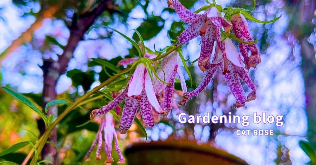 9e162d91a30c45869a80d0e2a8637f