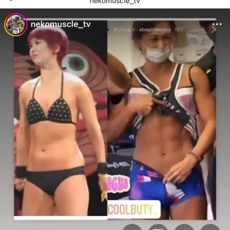 【女子相撲pt】ねこマッスル｜8競技チャンピオン