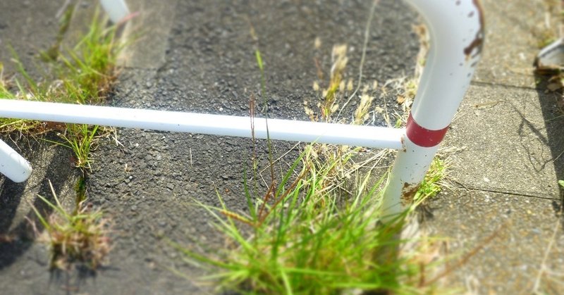 一言英語フレーズ 立ち入るつもりはないけれど Aina 語学アカウント Note