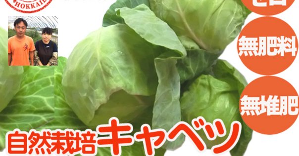 キャベツが破裂しました www｜annon