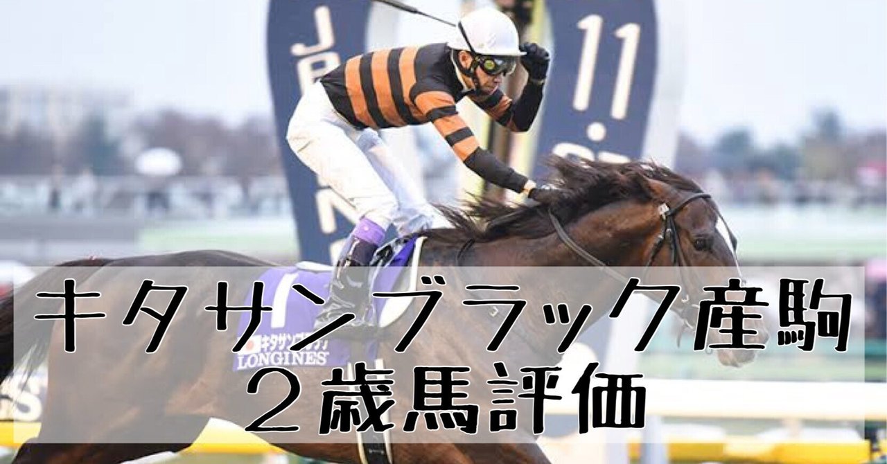 POG2025 ドラフト馬評価【キタサンブラック産駒・13頭】｜POGタロー