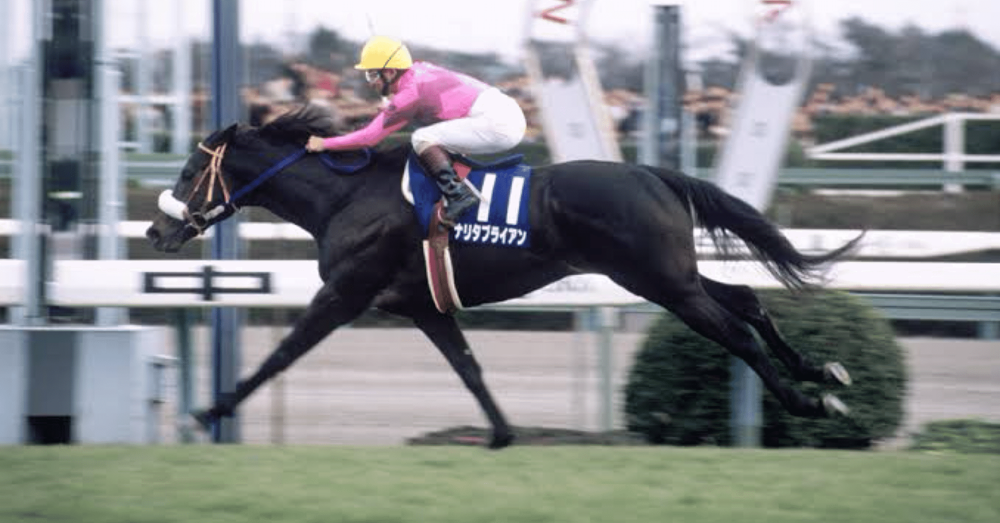 ナリタブライアン｜半熟ヒーロー