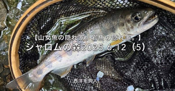 道具のこと：ロデオクラフト 999.9 meister ホワイトウルフ62UL