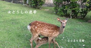 野口晴哉　色紙「蘆荻花中一点燈」 野口整体 野口晴哉 書