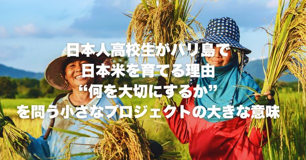 餓えと争いをなくすため、砂漠をゴミで緑化する。「アフリカの