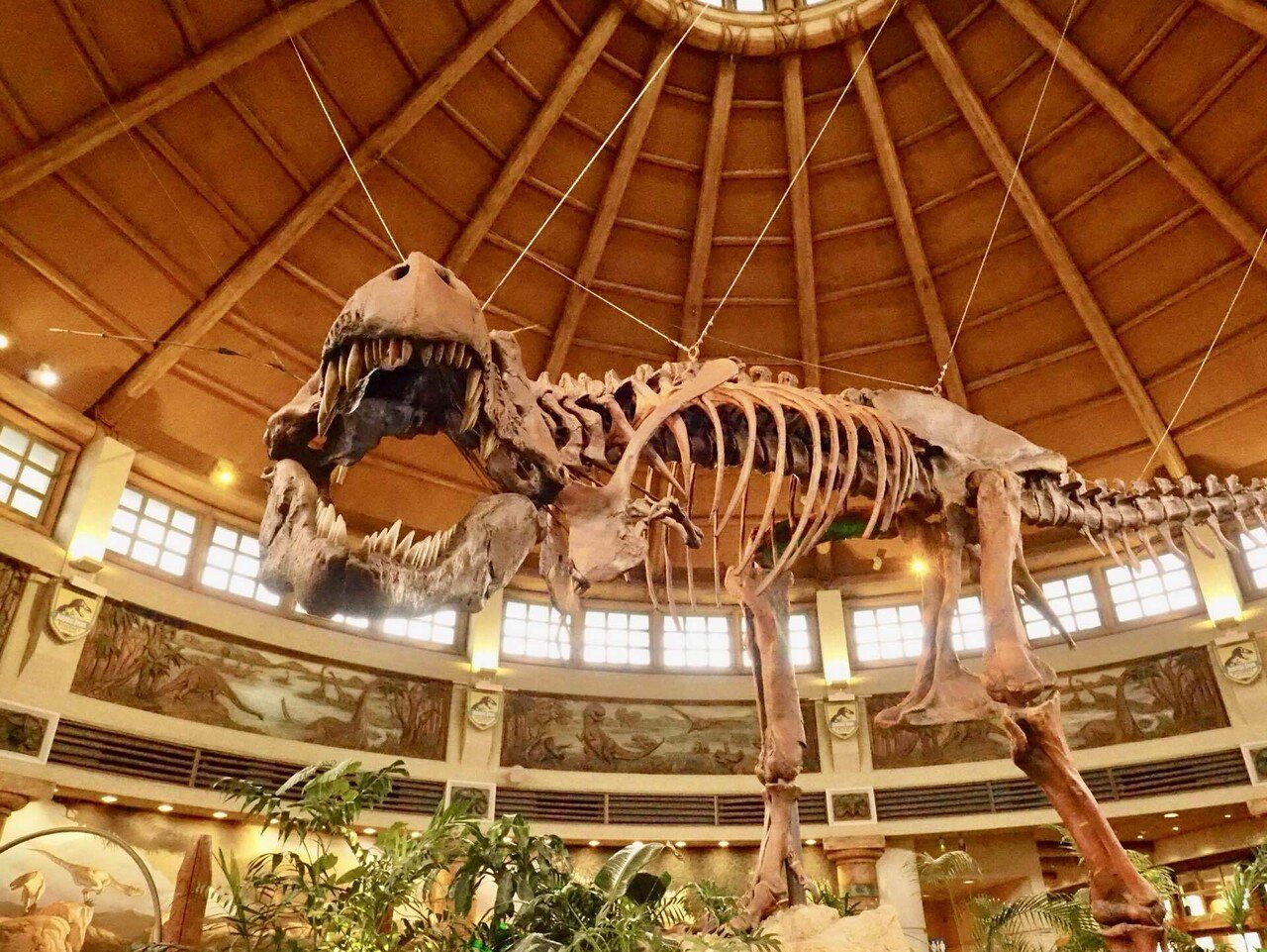 ユニバーサル・スタジオ 恐竜の化石3個セット USJ ジュラシックパーク 入れ物 化石, image size:1280x961