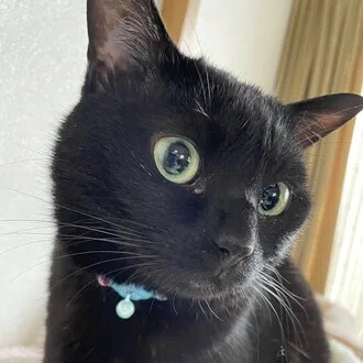 REN