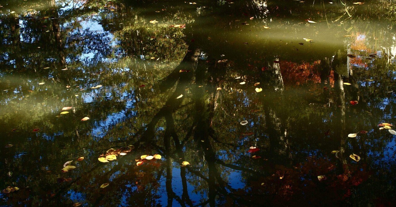 水辺に写る景色｜倉本シオ