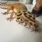 るるくんときのこズ！