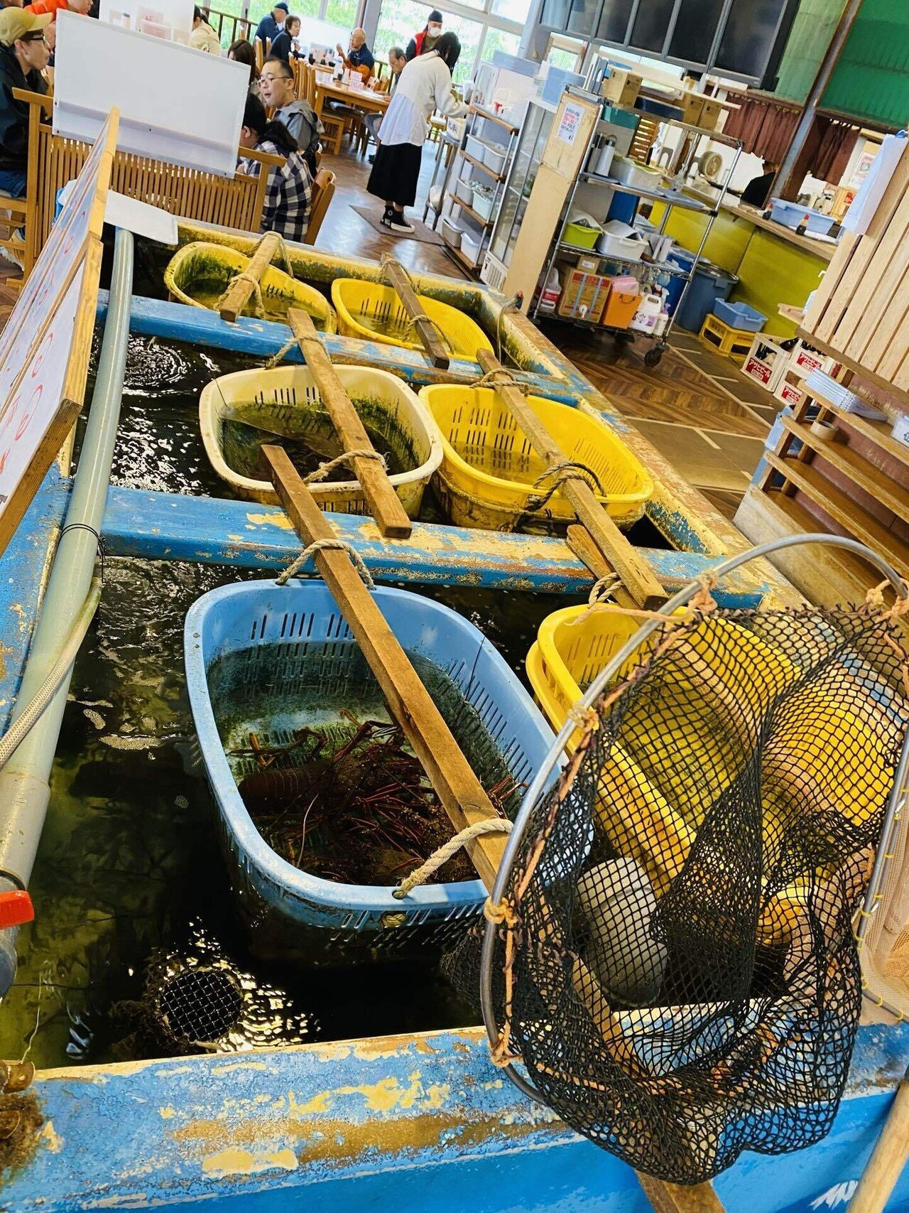 房総 アラビアンナイト｜なつ