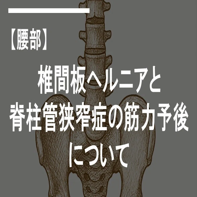 椎間板ヘルニアと脊柱管狭窄症の筋力予後について┃理学療法｜リハログ