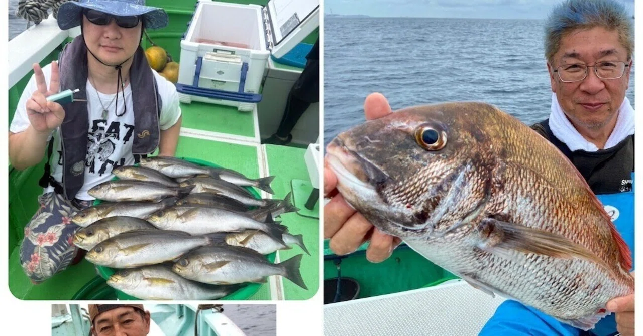 イサキ】トップ40匹【真鯛】最大2.5kg！【アジ泳がせ】泳がせバラシ