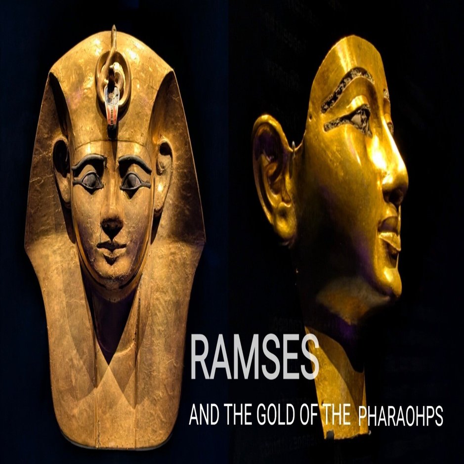 黄金のファラオ展 ACN ラムセス大王展 ファラオたちの黄金［9月・10月・11月観覧券