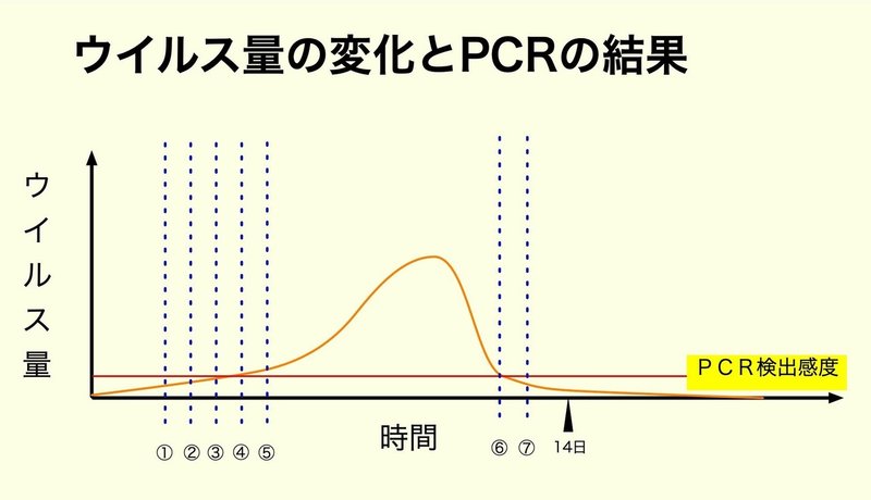 ウイルス量とPCR結果2