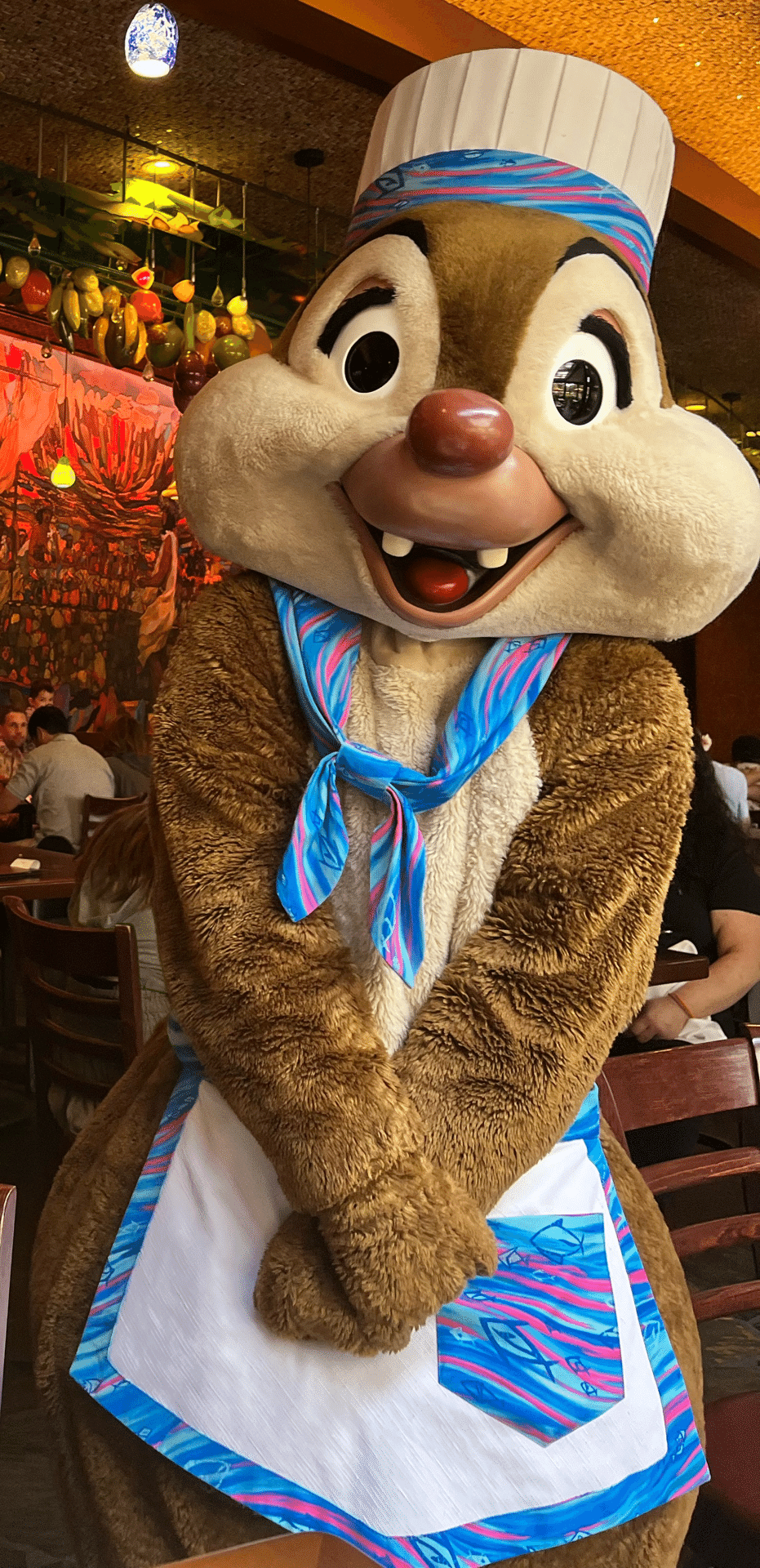 アウラニディズニー　マルチカバー　ブランケト（127×152） アウラニディズニー マルチカバー ブランケト（127×152） アウラニ