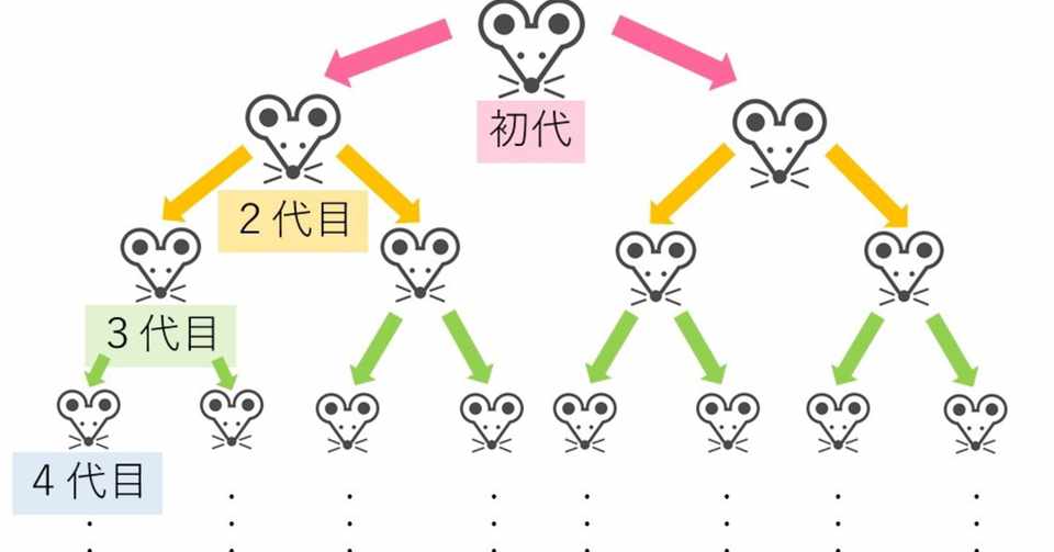 ネズミ講の計算式 1ヶ月に2人入会させるだけ を数学的に検証してみた けい Note日常 Note
