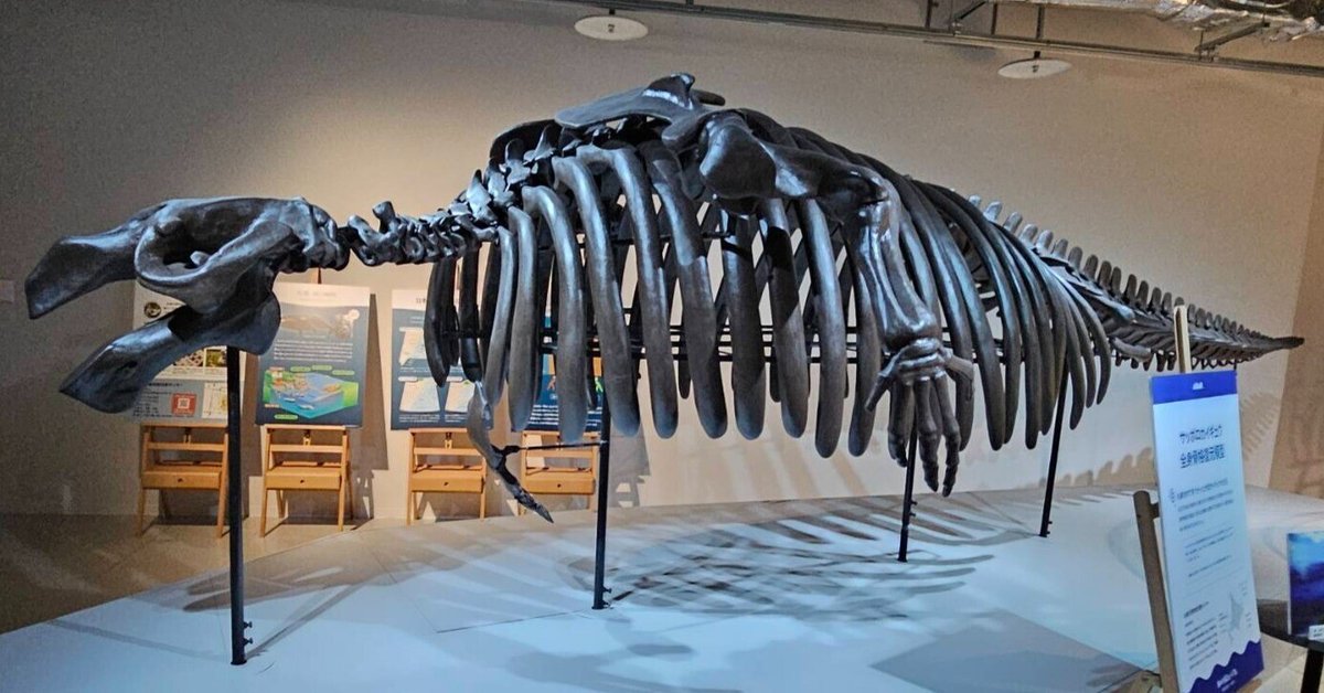 The Lost Universe 古代の巨大カイギュウ④巨大ヒドロダマリス