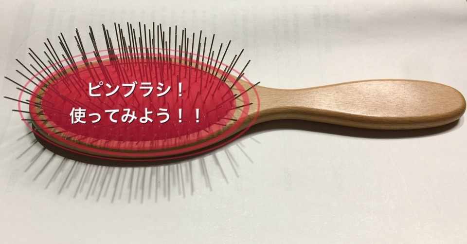 長毛種にはコレが最適 ピンブラシの使い方徹底解説 ドッグライフサポーター 獅子パパ Note