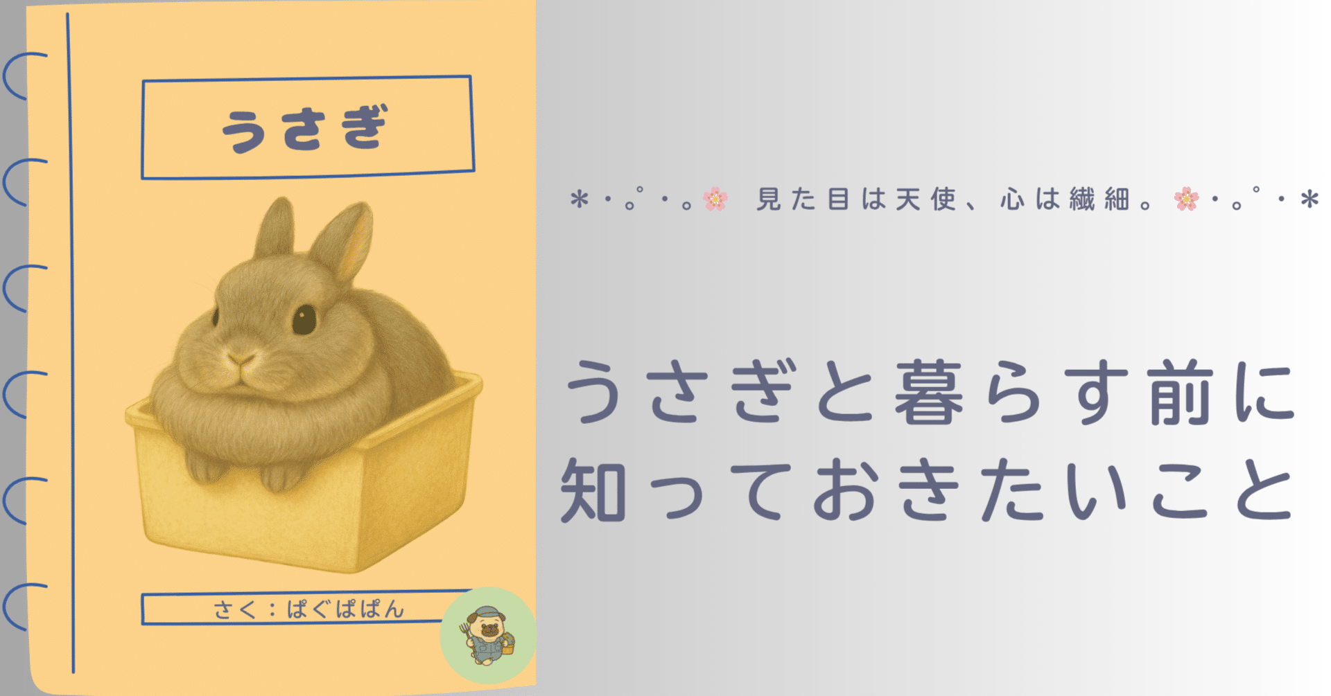 作家　うさぎ うさぎと暮らす前に知っておきたいこと｜ぱぐぱぱん 絵本作家×牧場飼育