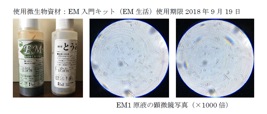 EM菌の正体（構成微生物を調べました）｜片瀬久美子｜note