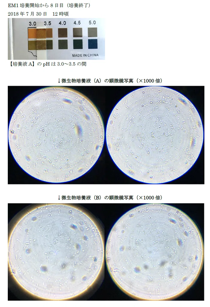pHと微生物の写真