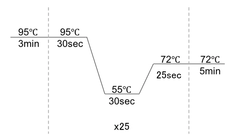 PCR条件1