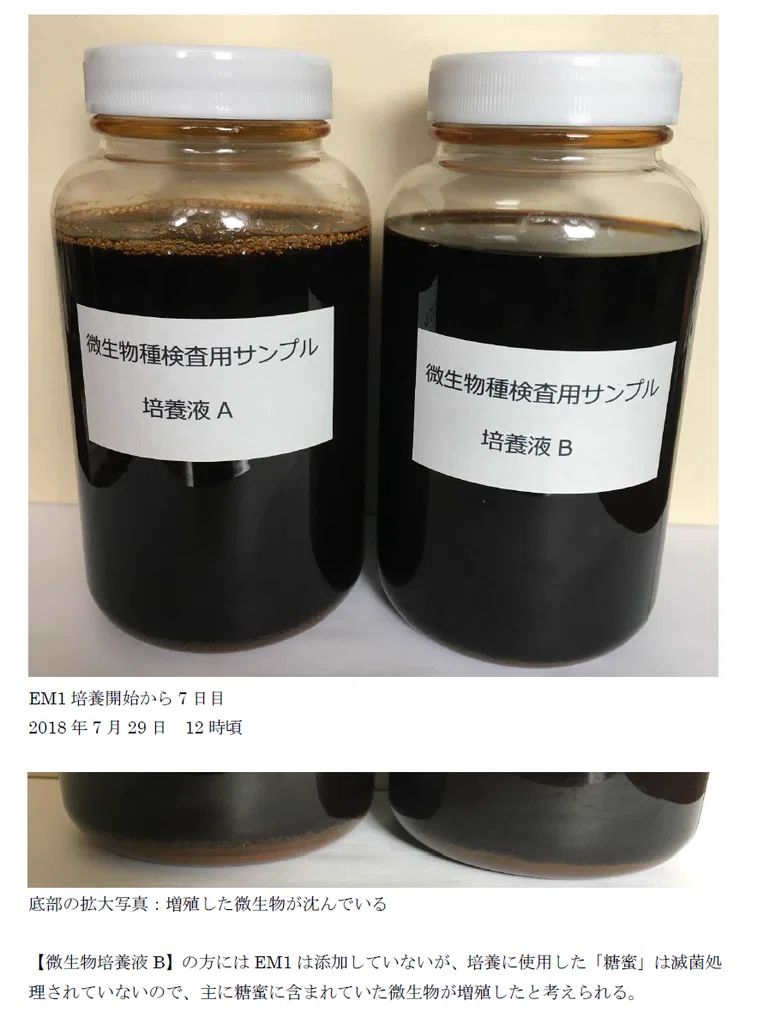 培養状態