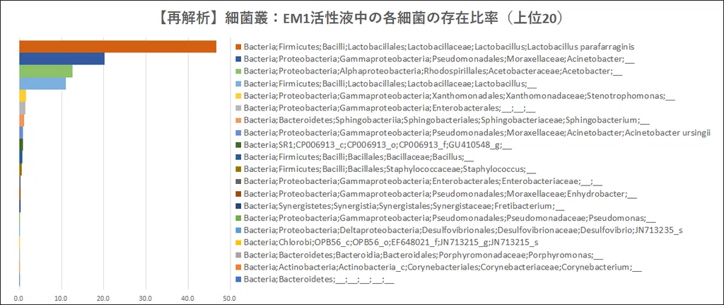 細菌の種類2