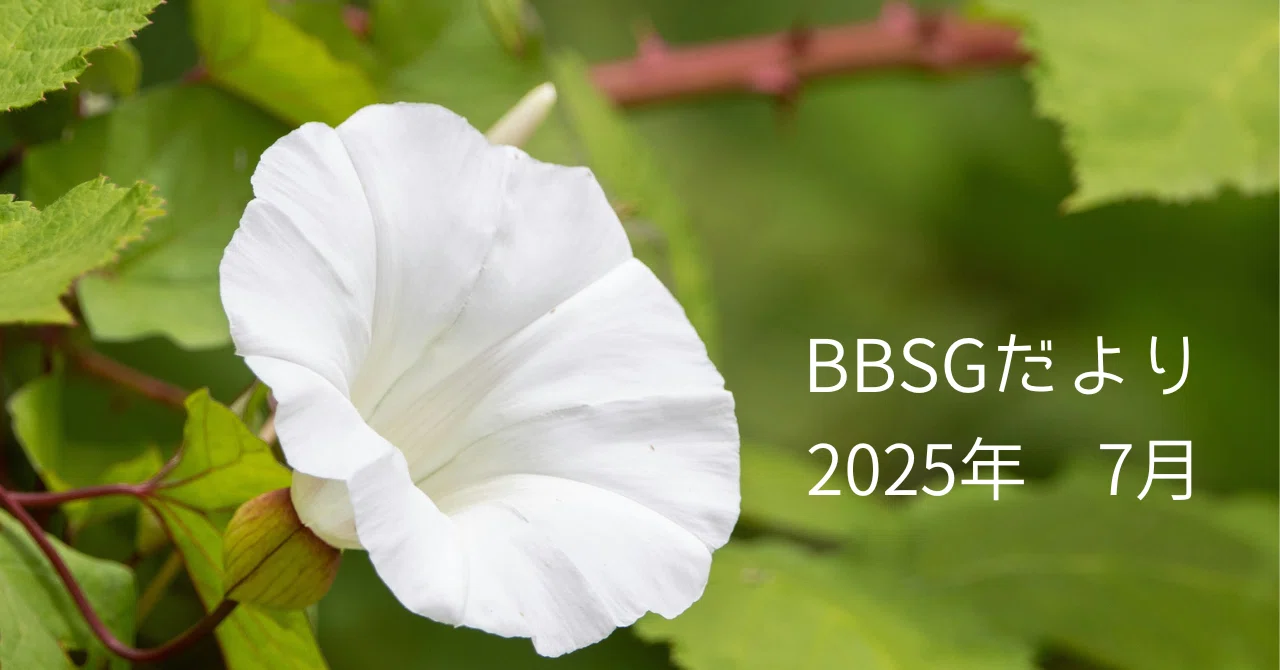BBSGだより 2025年7月 中庸の旅路｜pee