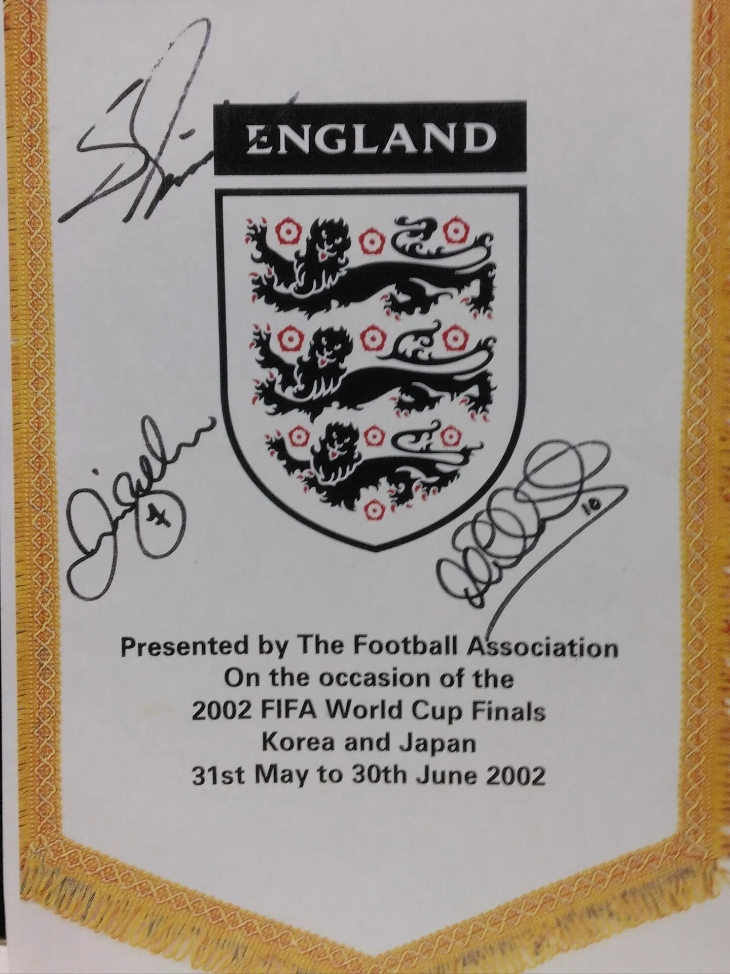 2002年、FIFAワールドカップが新潟市で開催された時にはお手伝いをした