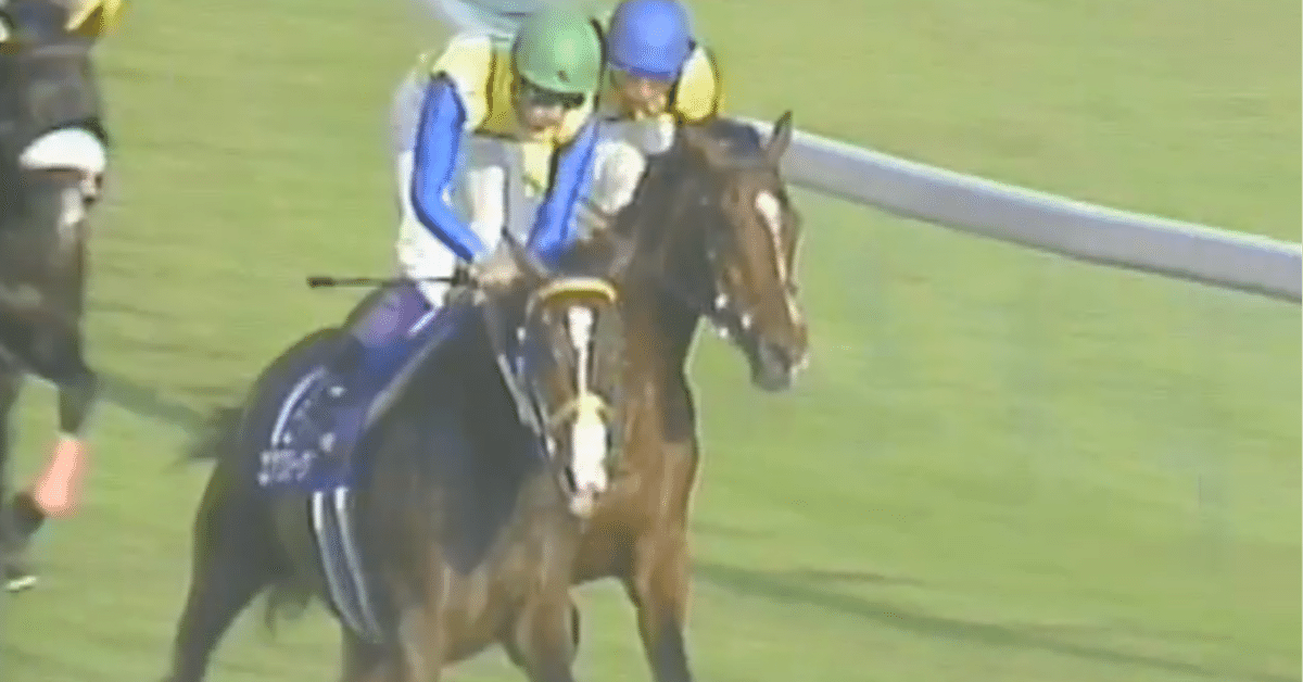 エアグルーヴ 　2L　 当時物　レア　競走馬　今は亡き名馬　ウマ娘 エアグルーヴ 【伝説】 【名馬ストーリー】 - YouTube