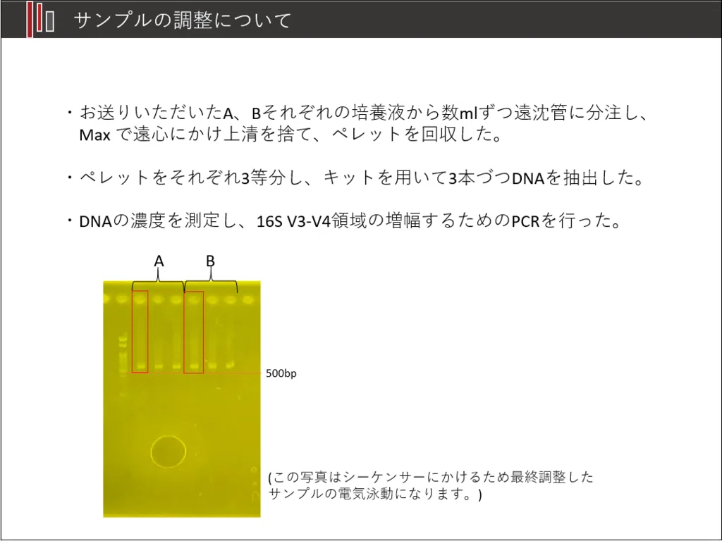 画像15