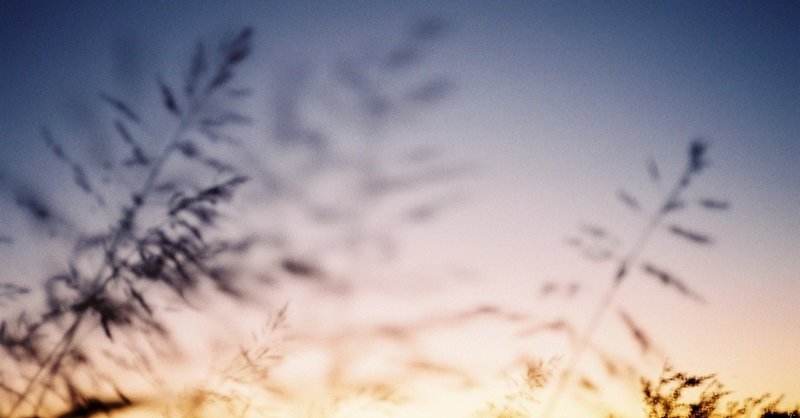 何歳になったら物事に動じない人間になれるんだろう Sumika Note