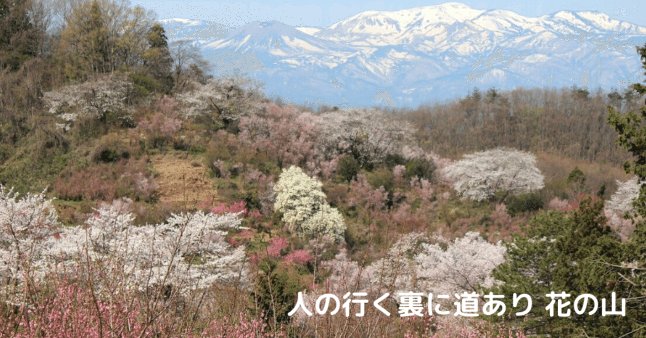 人の行く裏に道あり 花の山 市川ヒロシ 集まって売れる仕組み作り専門家 Note