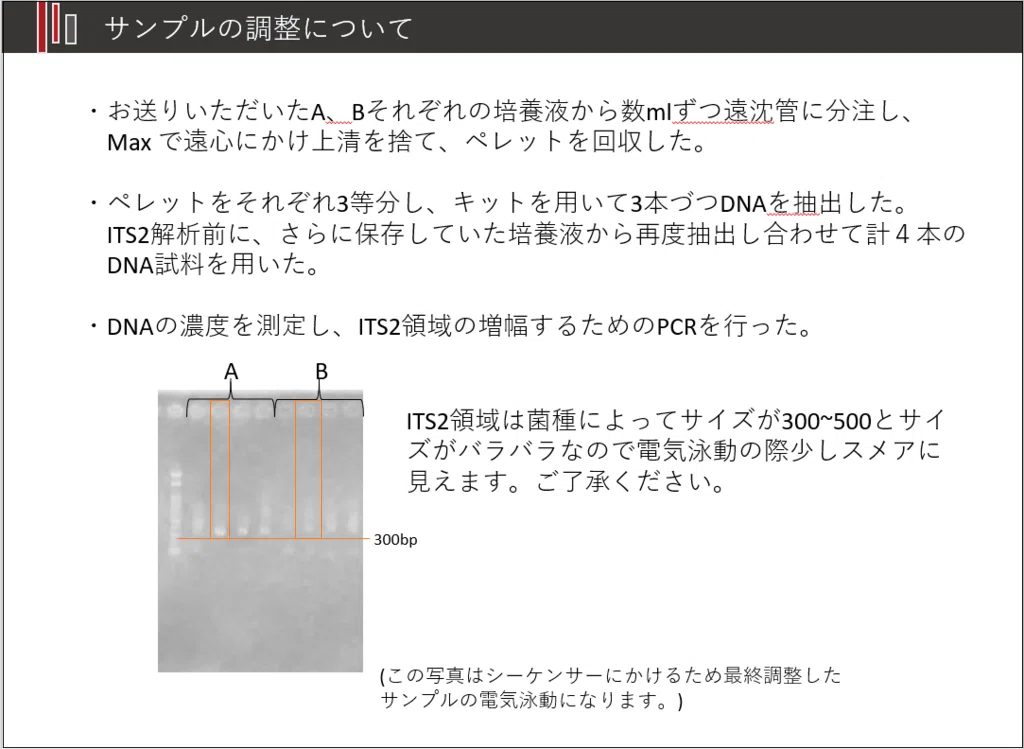 画像17
