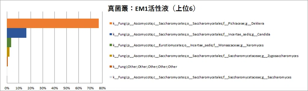 真菌の種類2