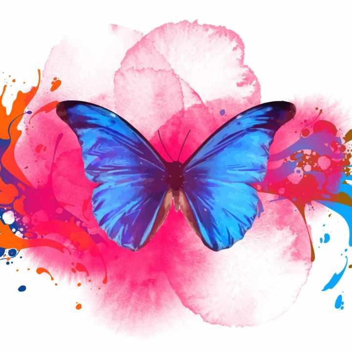 あすか ❘ 欲望の現場コンサルタント