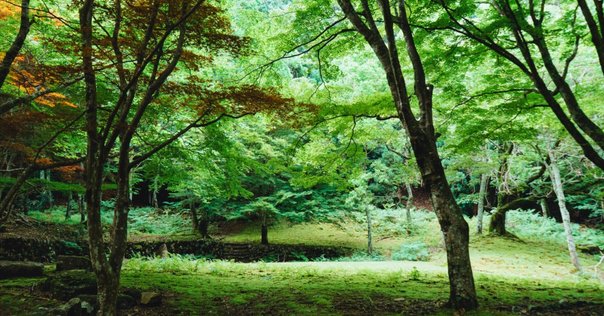 そもそも里山の暮らしってどんな暮らし？｜Satoyama Note