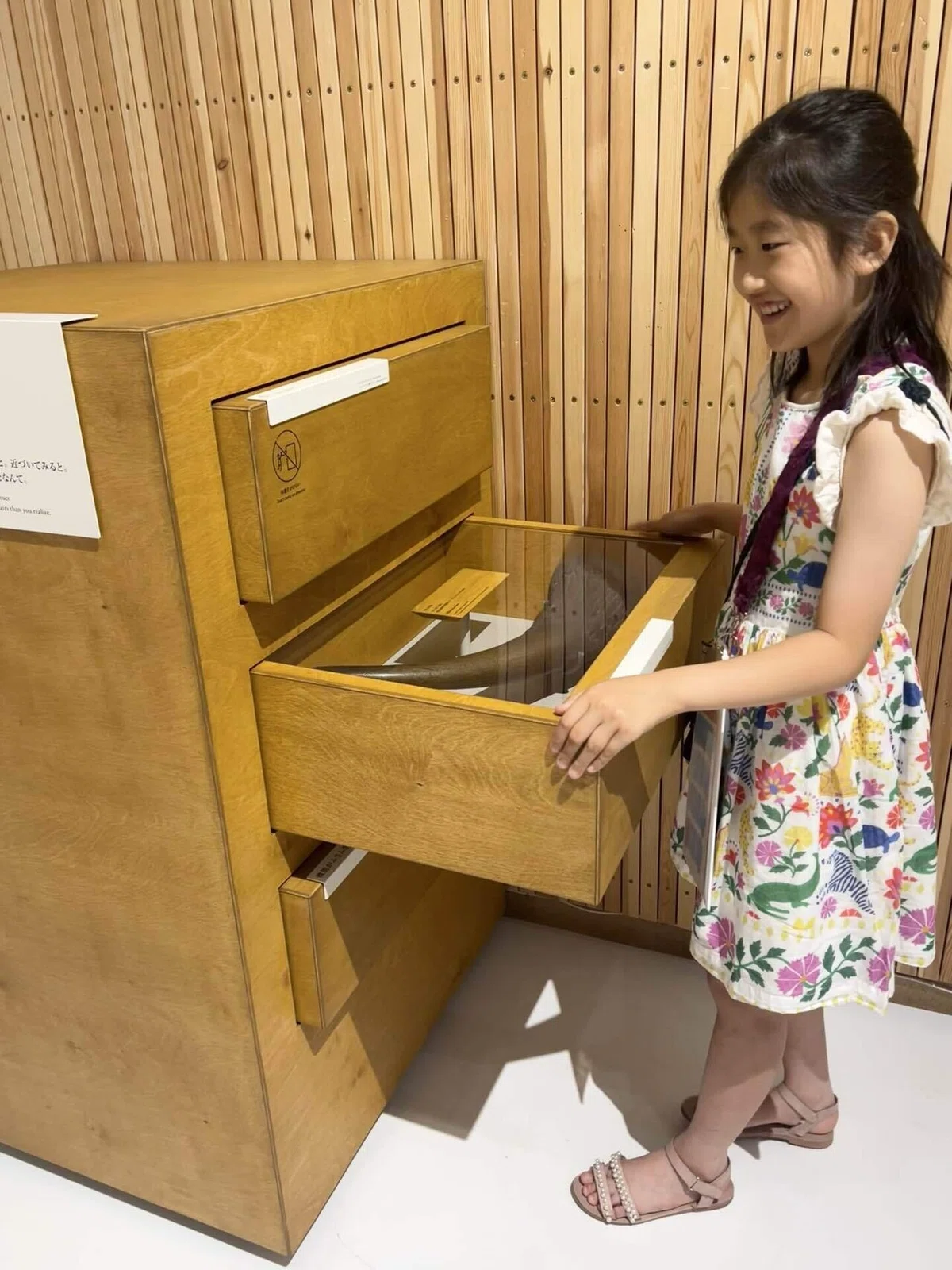 [Art Thinking Appreciation Report] PLAY! MUSEUM Animal Exhibition [Kids ...
