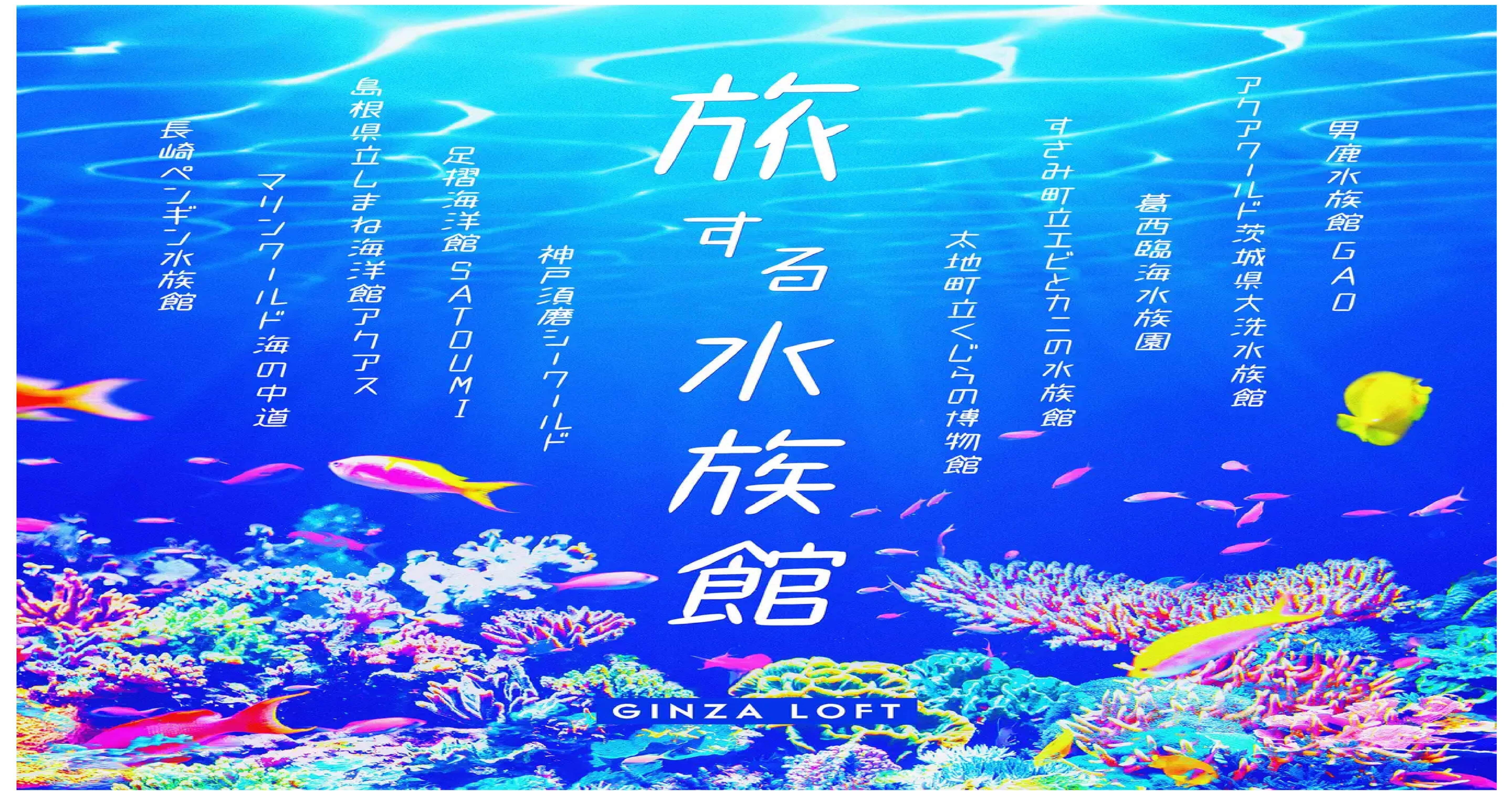 旅する水族館】イベントスタート｜orca.creation