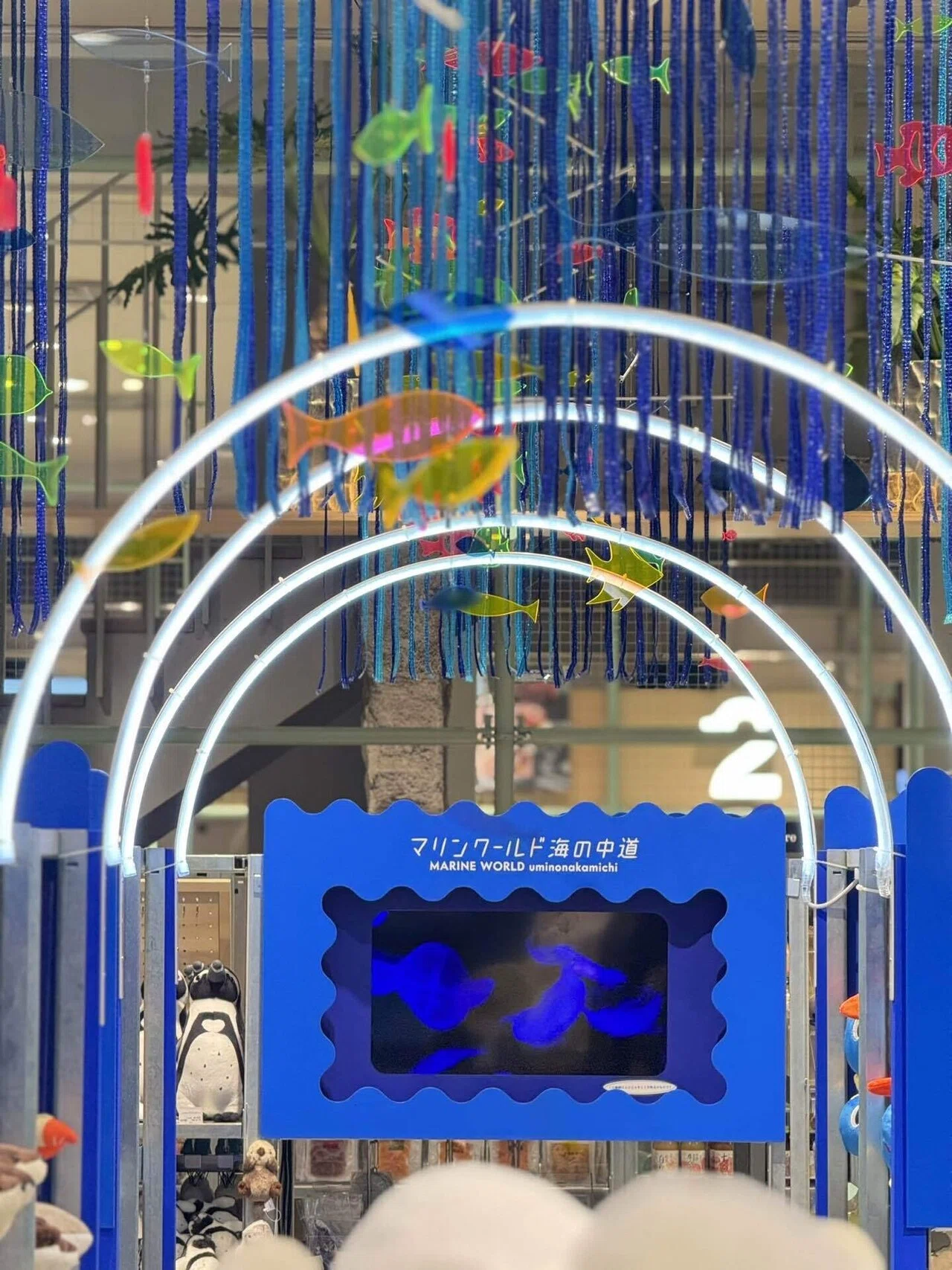 旅する水族館】イベントスタート｜orca.creation