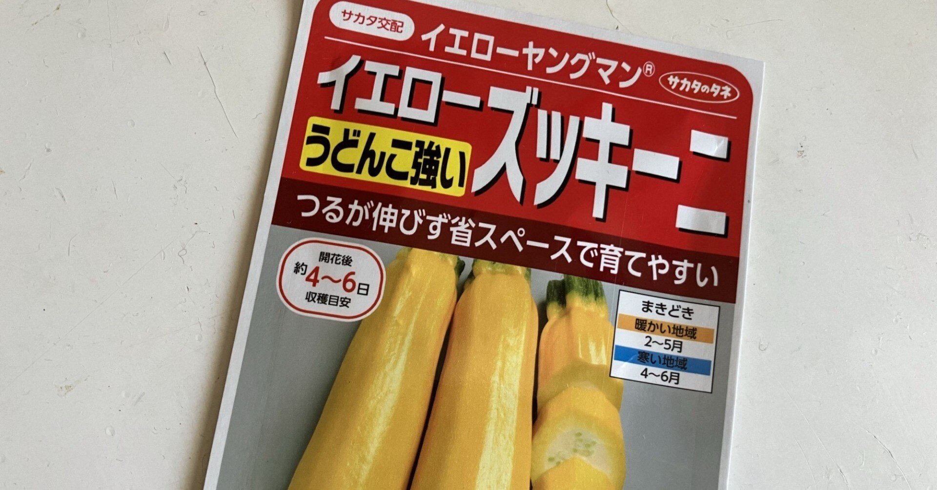 6月の庭：ズッキーニ種まき｜niwashihitoshi