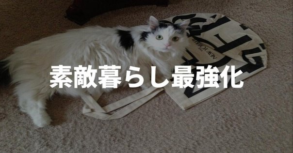 アニヤのエコバッグがオーストラリアにやってきた｜ふくちゃん